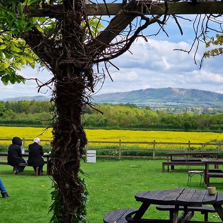 ホテル The Haughmond シュルーズベリー エクステリア 写真